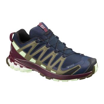 Salomon Patike Za Trail Trčanje Ženske Xa Pro 3d V8 Gtx W Indigo/Crveni/Brown RS186IK