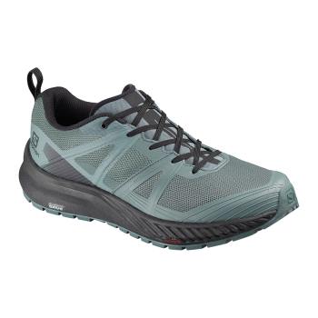 Salomon Muške Patike za Planinarenje Outlet Odyssey Triple Crown Crna/Zeleno RS968NE